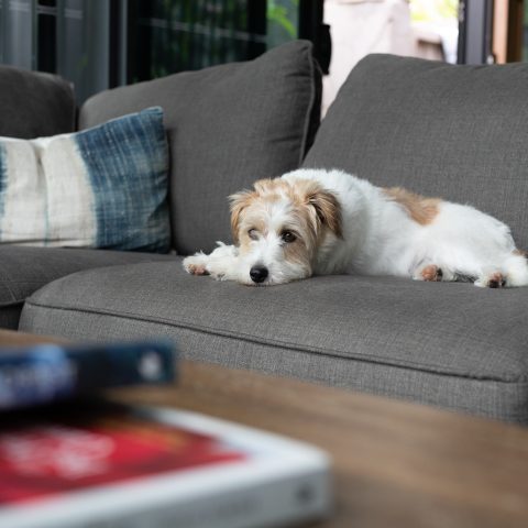 Amaroo Jan 23 - Timothy Birch--211