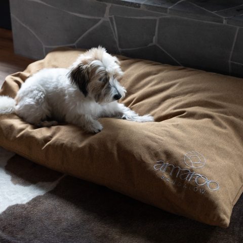 Amaroo Jan 23 - Timothy Birch--307